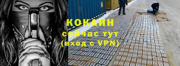 кокс Богородицк